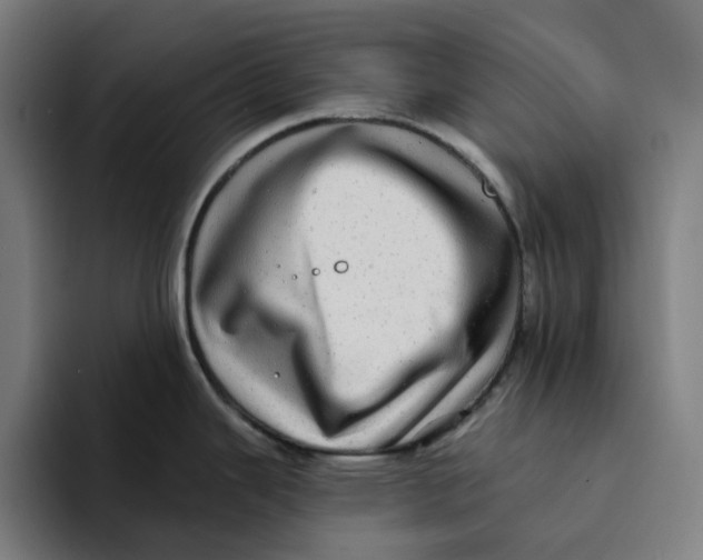 X0000094211343200711161821