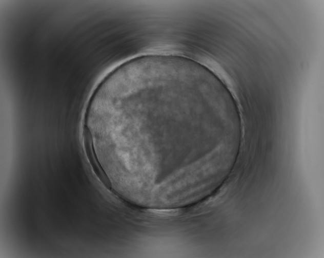 X0000094211344200711161821