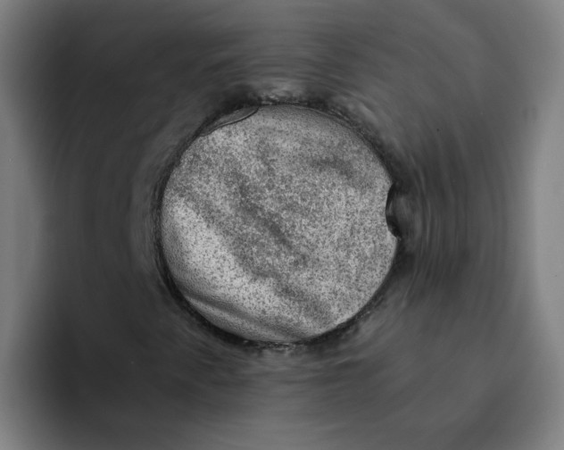 X0000094211345200711161820