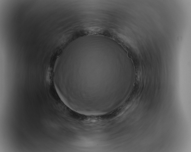 X0000094211346200711161820
