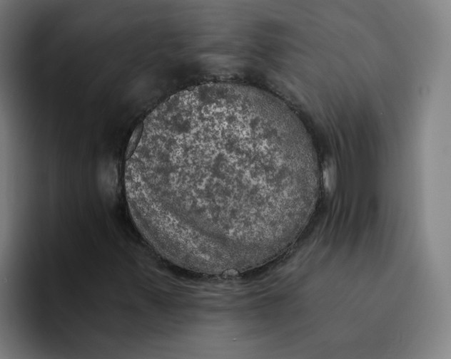X0000094211347200711161820