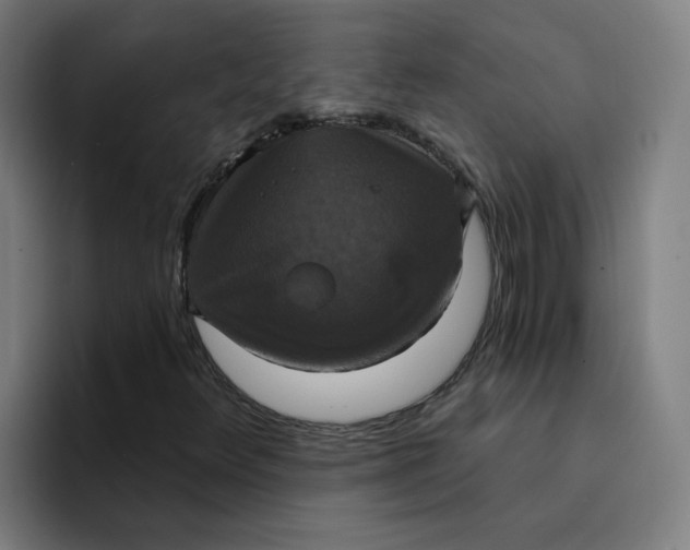 X0000094211348200711161820