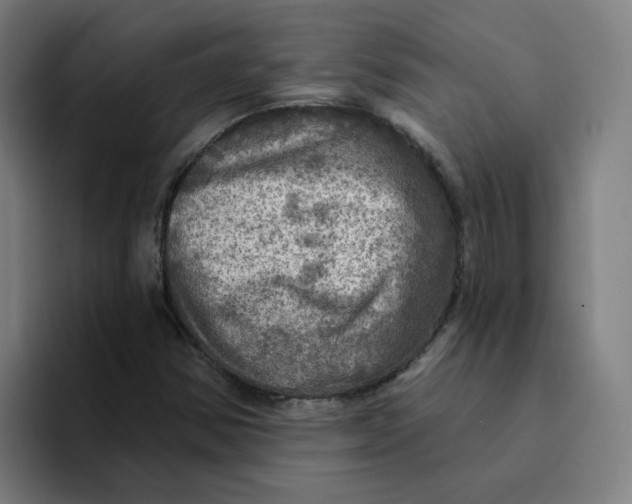 X0000094211354200711161820