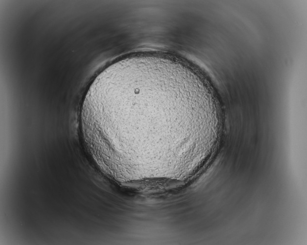 X0000094211355200711161820