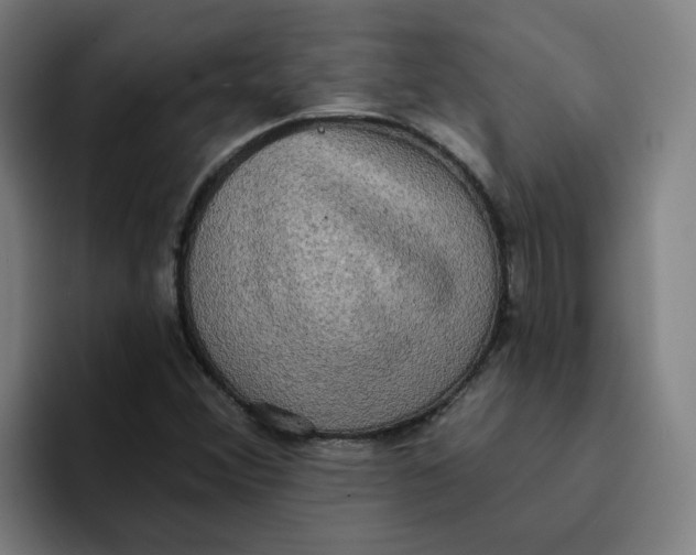 X0000094211356200711161820