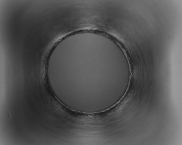 X0000094211359200711161820