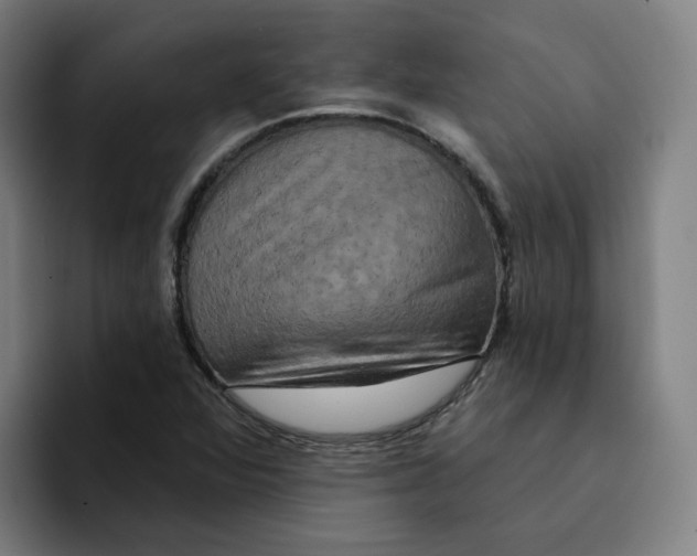 X0000094211360200711161820