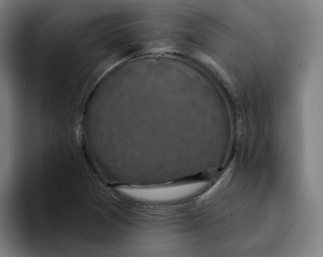 X0000094211361200711161820