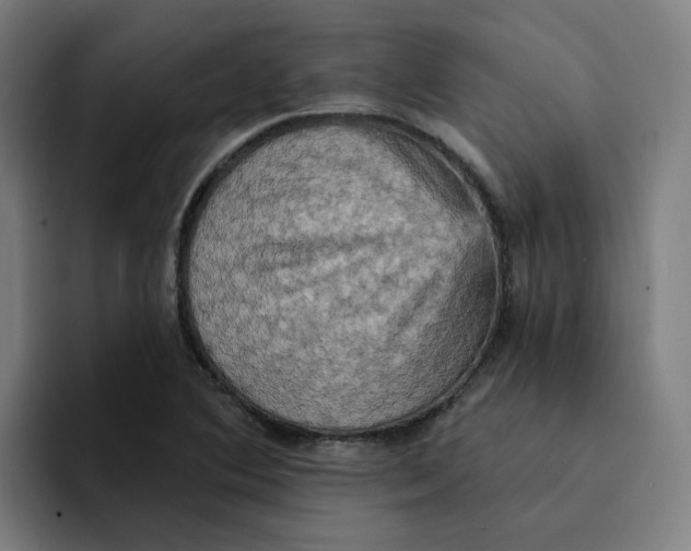 X0000094211364200711161820