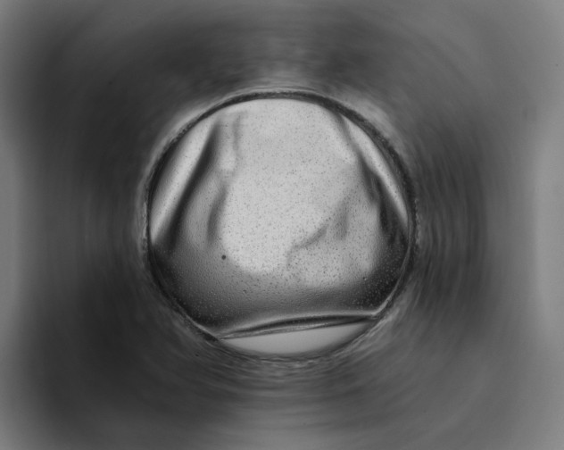 X0000094211366200711161820