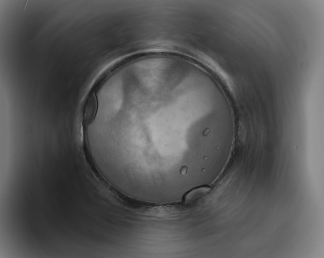 X0000094211368200711161820