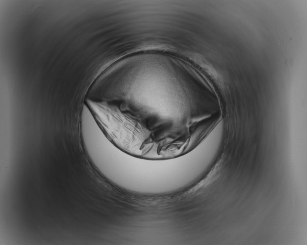 X0000094211369200711161820
