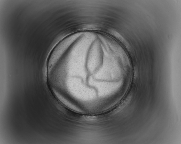 X0000094211370200711161820