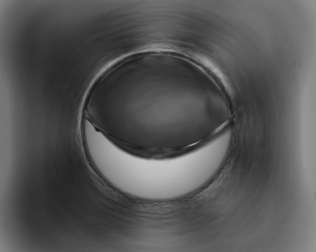 X0000094211372200711161820