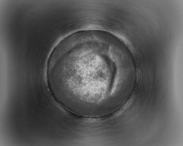 X0000094211374200711161820
