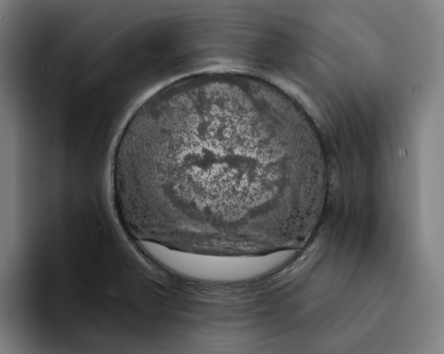 X0000094211375200711161820