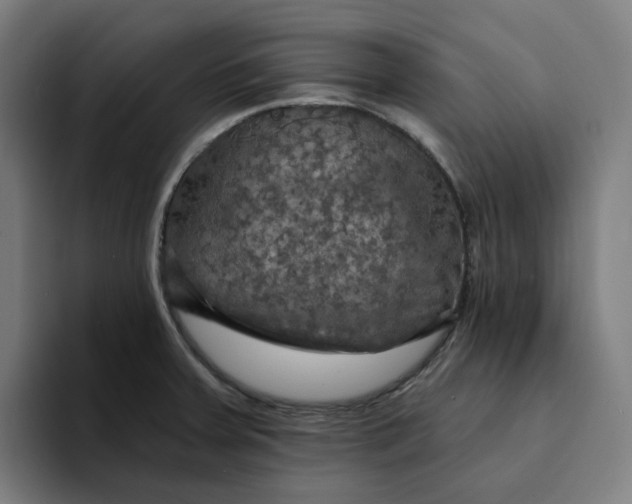 X0000094211379200711161820