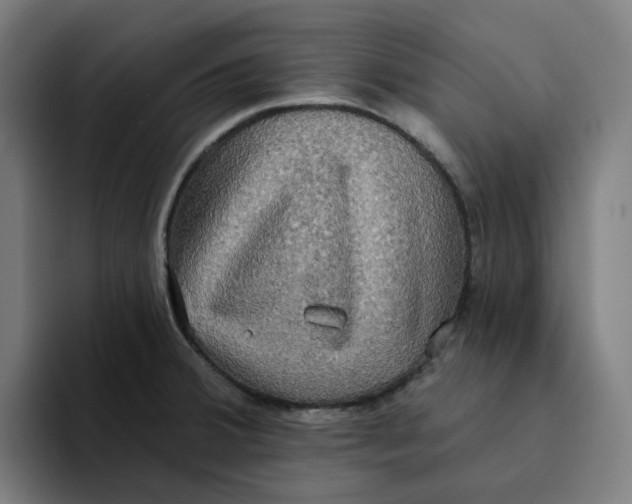 X0000094211380200711161820