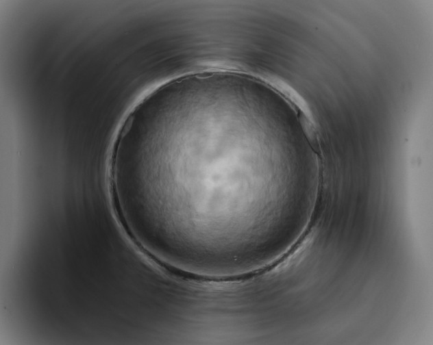 X0000094211381200711161820