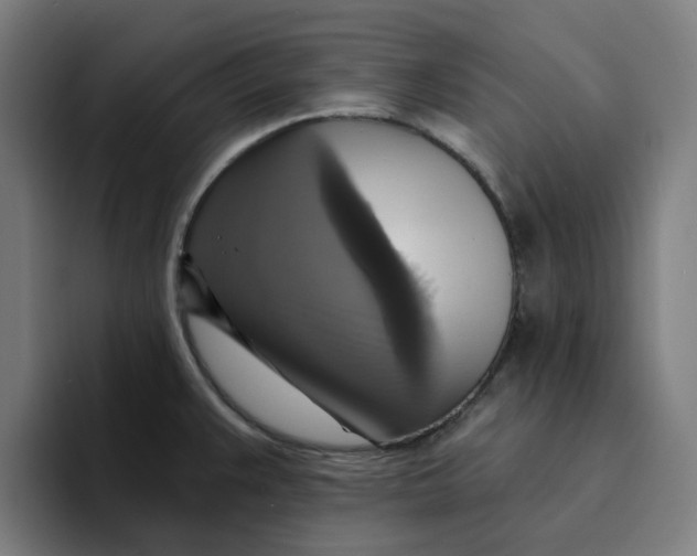 X0000094211383200711161820