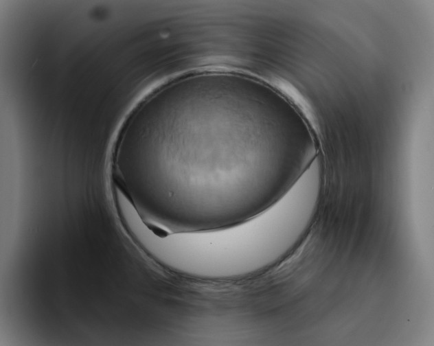 X0000094211384200711161820