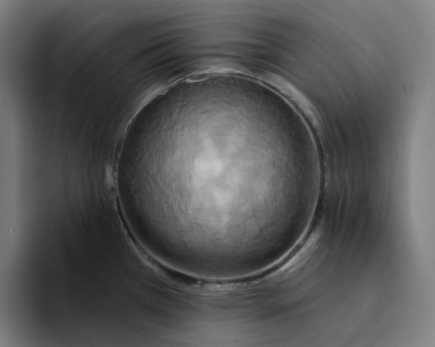 X0000094211385200711161820
