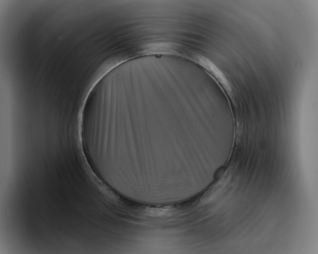 X0000094211386200711161820