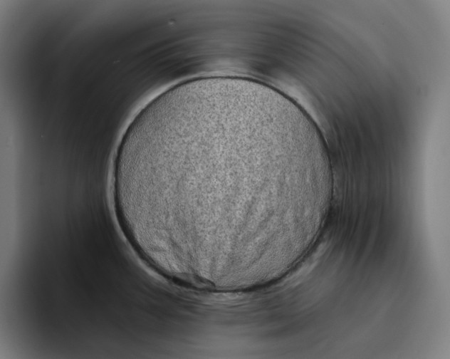 X0000094211387200711161820