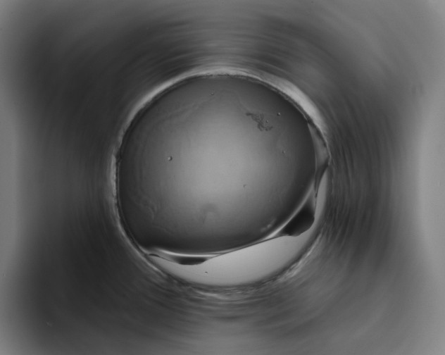 X0000094211388200711161820