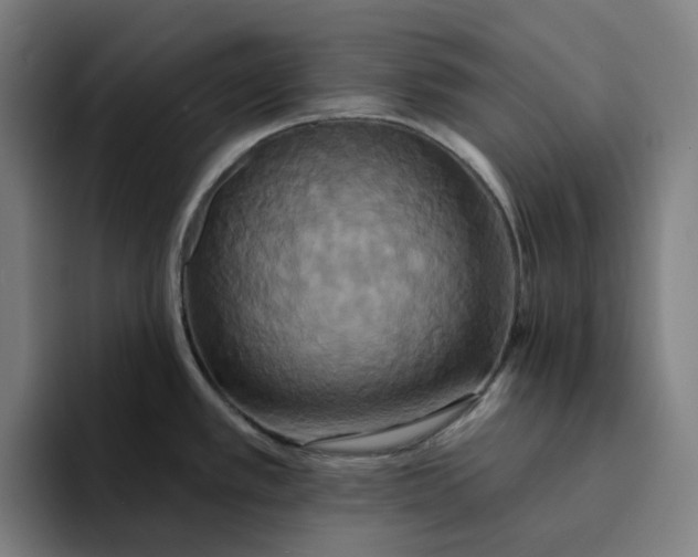 X0000094211389200711161820