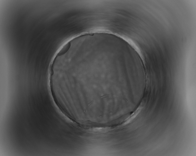 X0000094211390200711161820