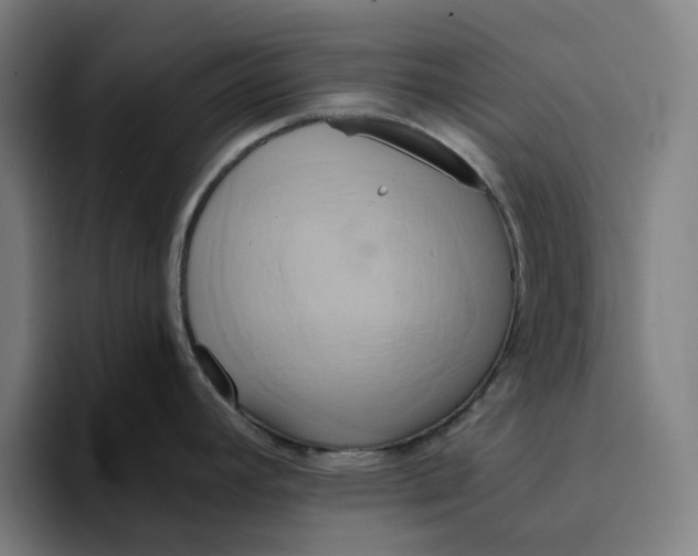 X0000094211392200711161820