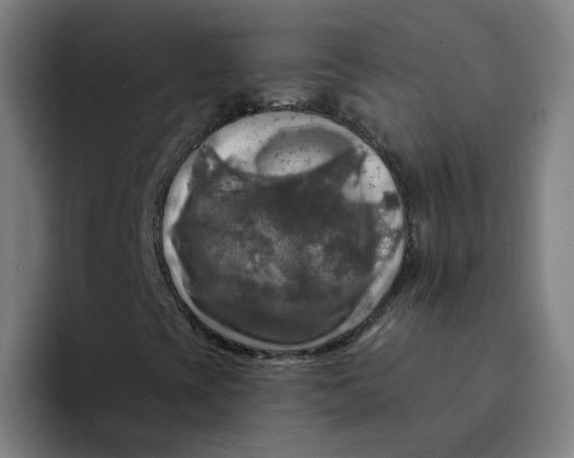 X0000094211393200711161819