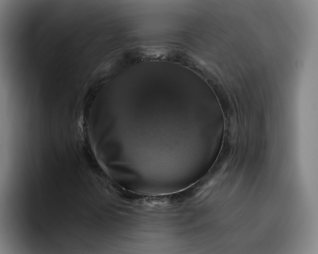 X0000094211394200711161819
