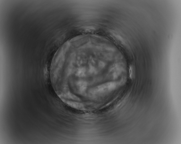 X0000094211395200711161819