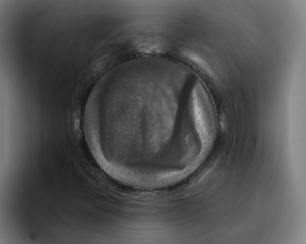 X0000094211396200711161819