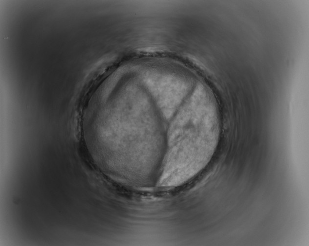 X0000094211398200711161819