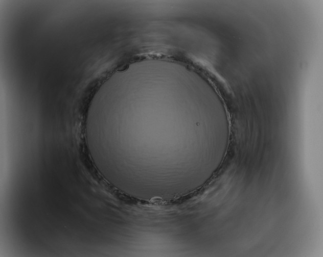 X0000094211399200711161819
