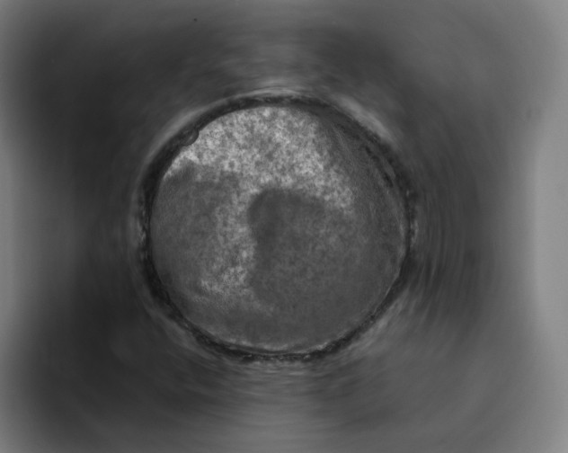 X0000094211400200711161819
