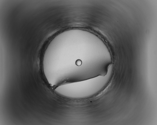 X0000094211402200711161819