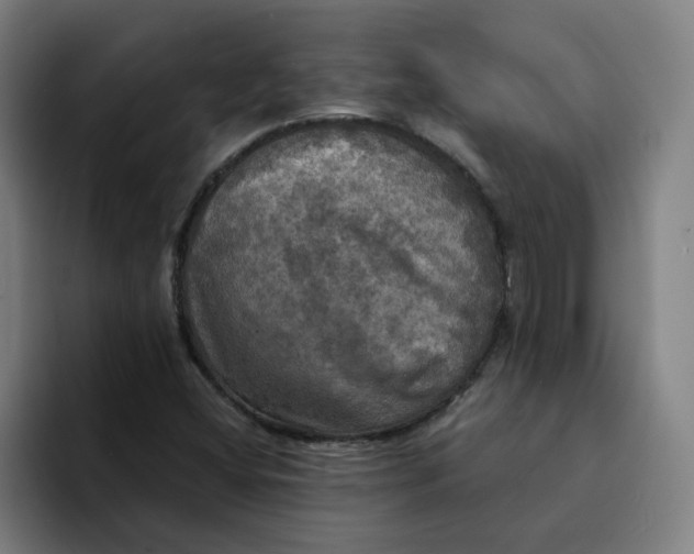 X0000094211404200711161819