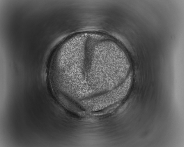 X0000094211406200711161819