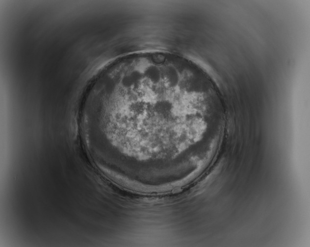X0000094211407200711161819