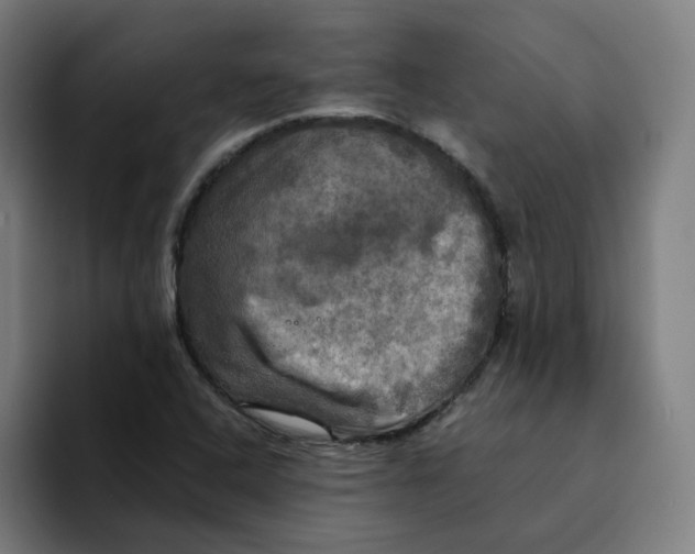 X0000094211408200711161819