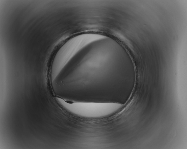 X0000094211411200711161819
