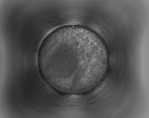 X0000094211412200711161819