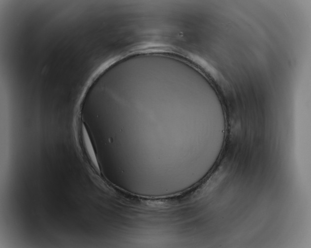 X0000094211413200711161819