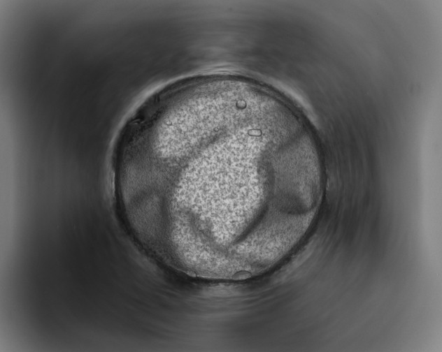 X0000094211414200711161819