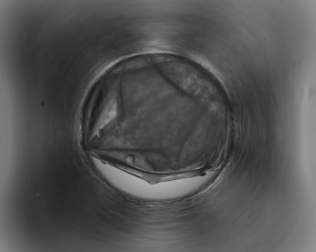 X0000094211415200711161819