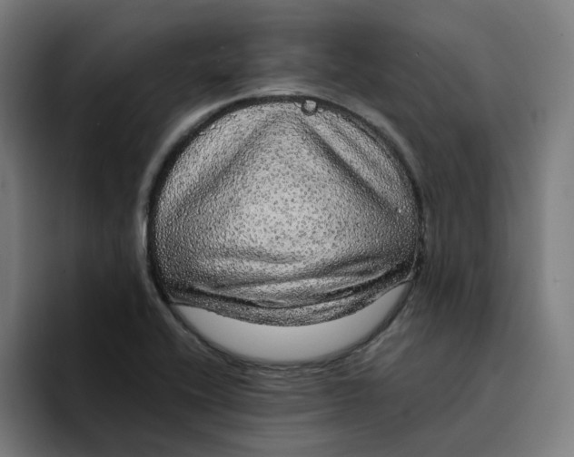 X0000094211416200711161819